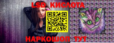 стафф Бердск