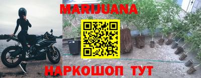 стафф Бердск