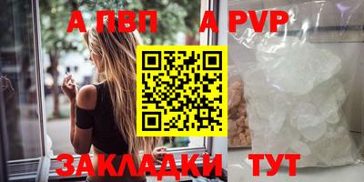 стафф Бердск