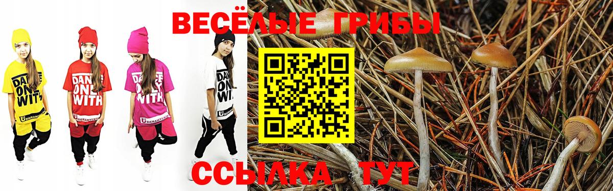 Псилоцибиновые грибы Psilocybine cubensis  Вход с VPN  Белореченск 